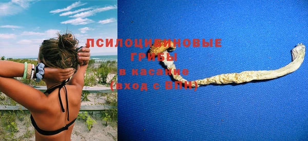 apvp Алзамай