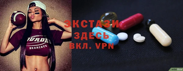 индика Алексин