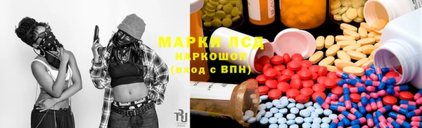 apvp Алзамай