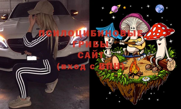 индика Алексин
