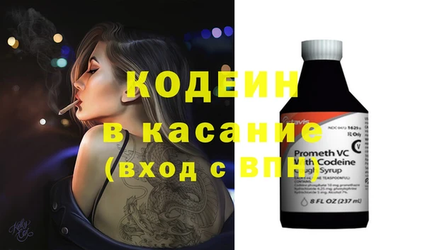 индика Алексин