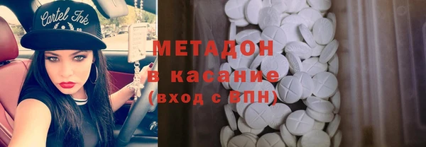 индика Алексин