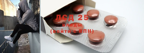 индика Алексин