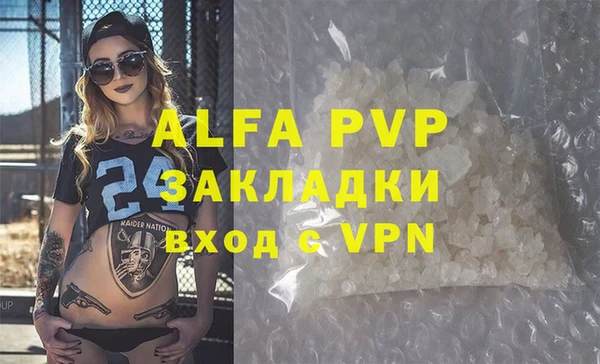индика Алексин