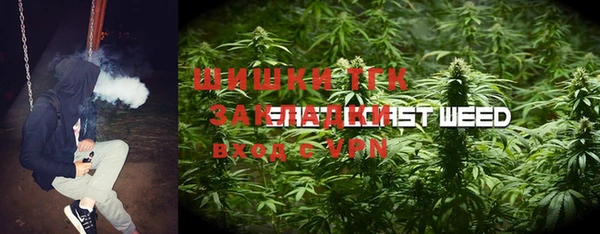 apvp Алзамай