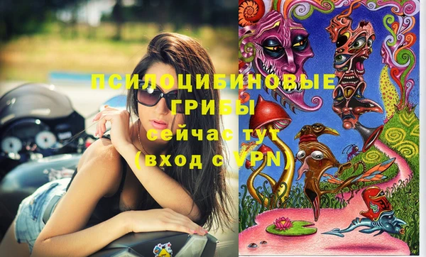 apvp Алзамай