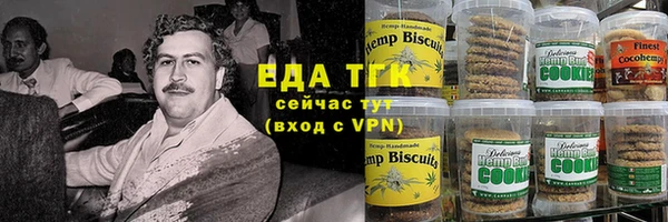 индика Алексин