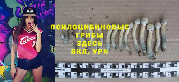 apvp Алзамай