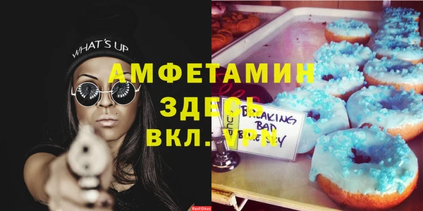 apvp Алзамай