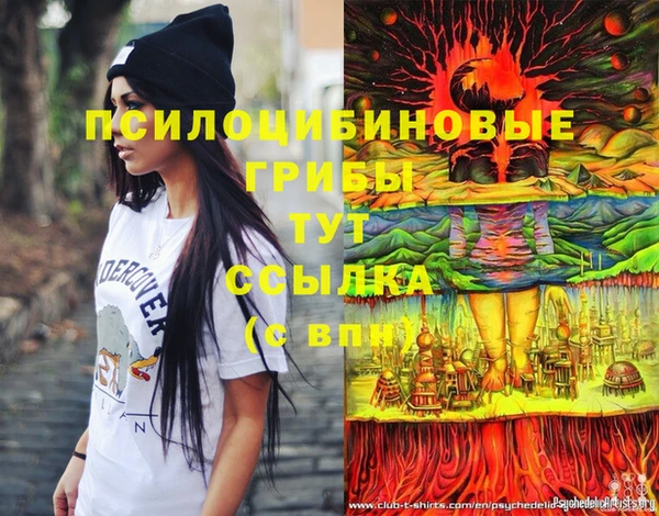 apvp Алзамай
