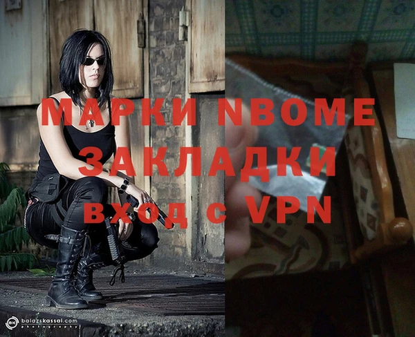 индика Алексин