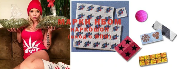 индика Алексин